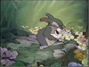 tn_gallery_80_21_63393.gif