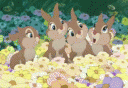 tn_gallery_80_21_768366.gif
