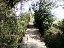 tn_gallery_1_83_38145.jpg
