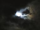 tn_gallery_80_44_622467.jpg