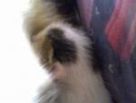 Attached Image