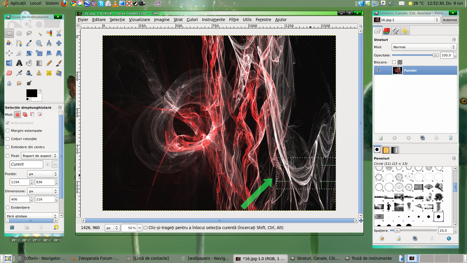 gallery_80_33_506458.png