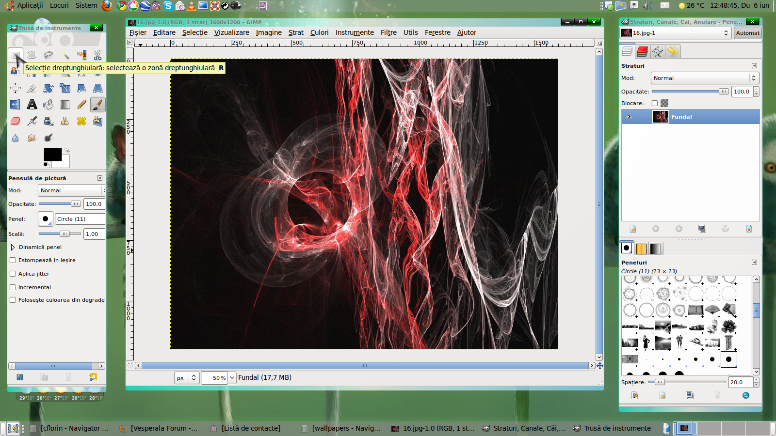 gallery_80_33_855476.png