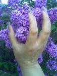 post-1-1208029720_thumb.jpg