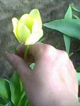 post-1-1208030950_thumb.jpg